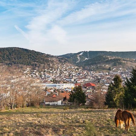 Les Balcons De La Haie Griselle gîte 4/pers Gérardmer Extérieur photo