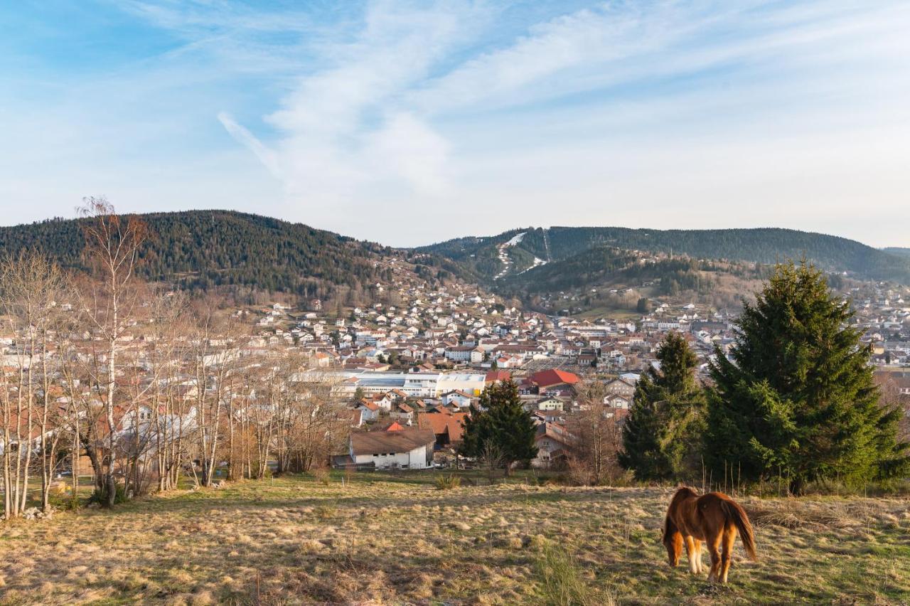 Les Balcons De La Haie Griselle gîte 4/pers Gérardmer Extérieur photo